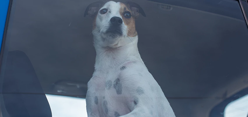 Car Lockout Solutions in Seal Beach, California